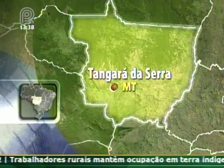 Delegado coordenador do núcleo Aprosoja-MT fala sobre problemas de logística do Brasil