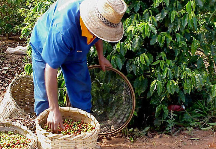 Plano de Ação do Agronegócio deseja a criação de instrumentos que diminuam os riscos nos contratos agrícolas