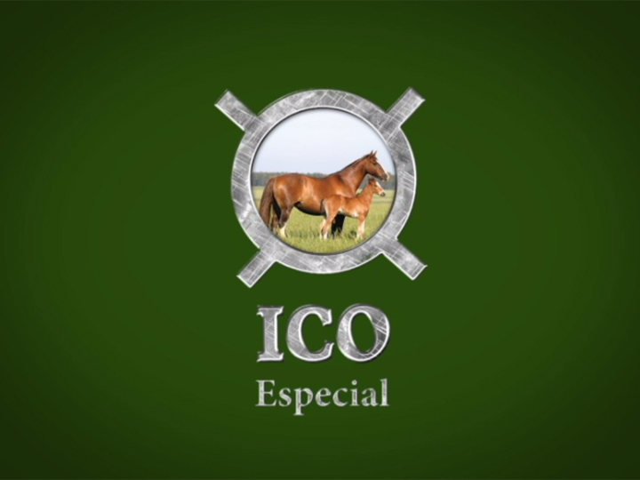 Leilão ICO Especial