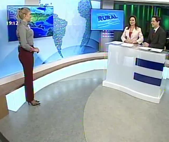 Confira a previsão do tempo para os Estados Unidos