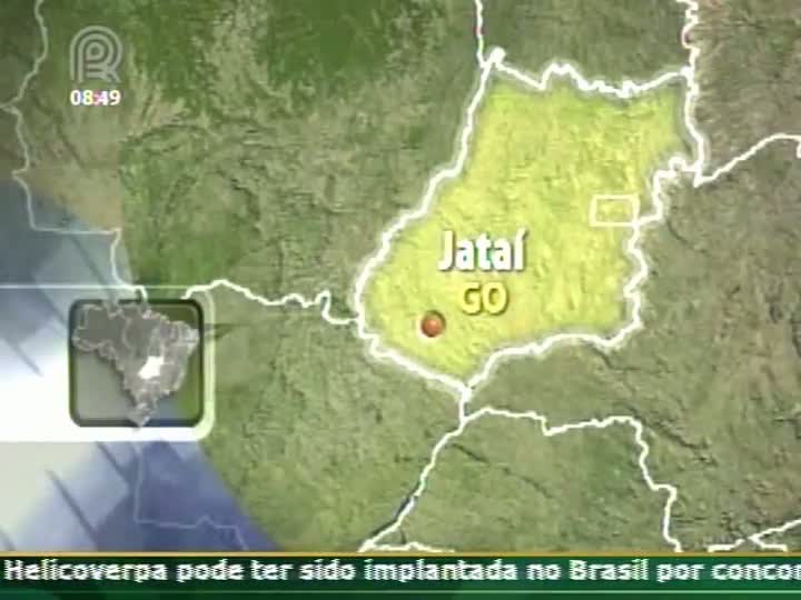 Alta do frete e escassez de armazéns pressionam cotação do milho em Goiás