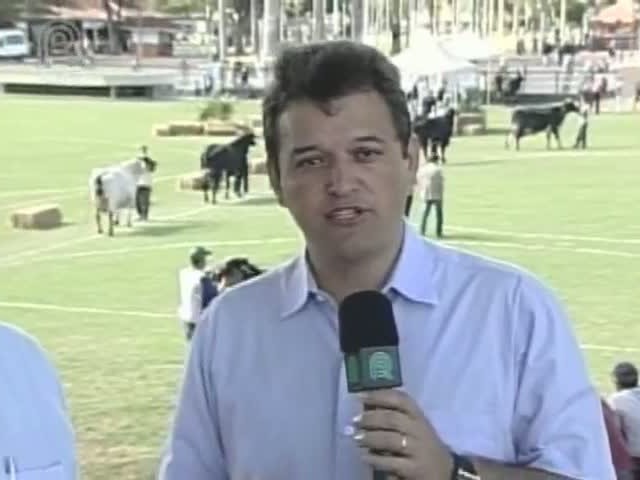 Cruzamentos auxiliam na produção de leite de qualidade