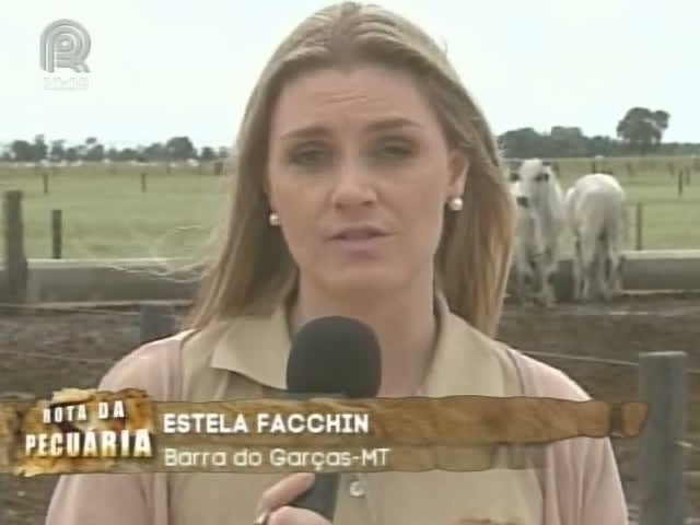 Equipe do projeto Rota da Pecuária mostra o uso do confinamento nas propriedades de Mato Grosso