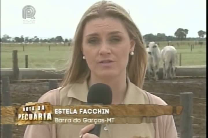 Equipe do projeto Rota da Pecuária mostra o uso do confinamento nas propriedades de Mato Grosso