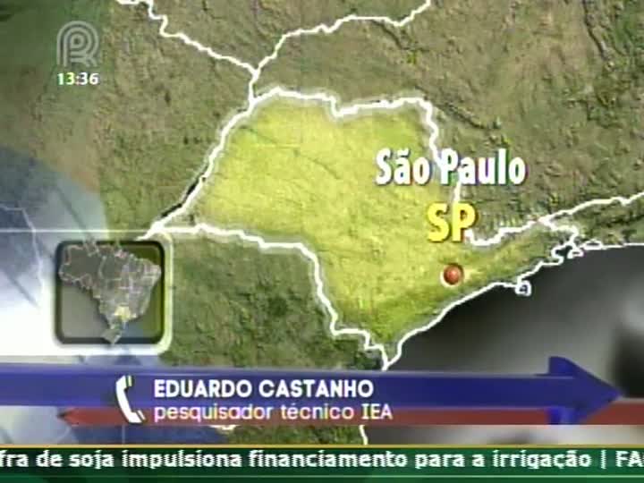 Pesquisador do Instituto de Economia Agrícola fala sobre o Código Florestal