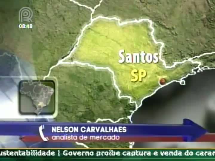 Café: A tendência é inserir ainda mais o robusta nos blends, afirma analista