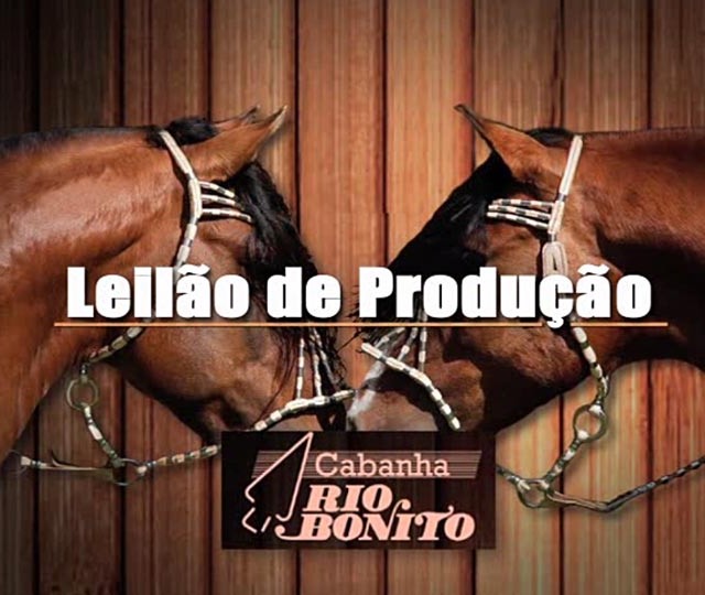 Leilão de Produção Cabanha Rio Bonito