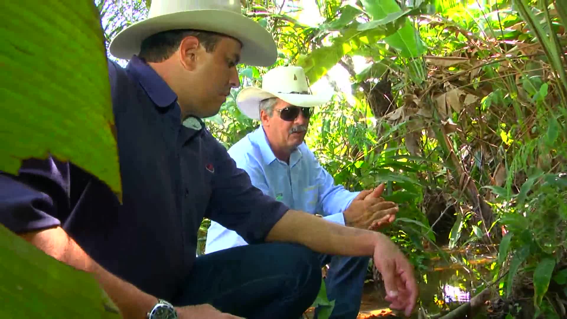 Parceiros do Campo - Sapucaia - PA