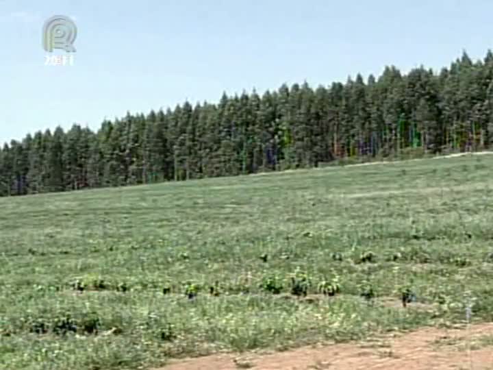 O Ministério da Agricultura pretende recuperar hectares degradados