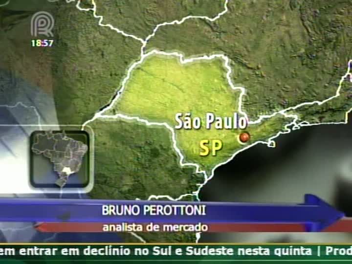 Analista fala sobre a queda das cotações de soja no mercado internacional