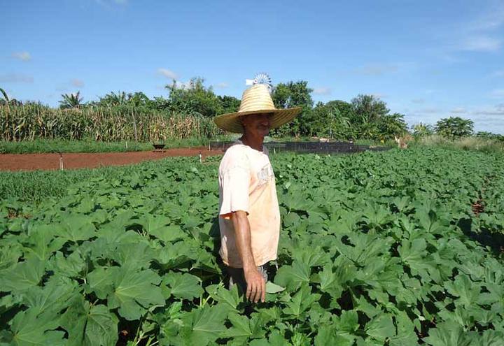 Acesso ao crédito rural precisa ser mais rápido e fácil