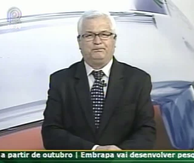Analista fala sobre o mercado de boi gordo