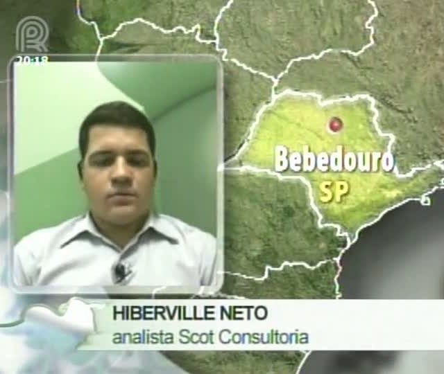 Analista da Scot Consultoria fala sobre o mercado de boi gordo