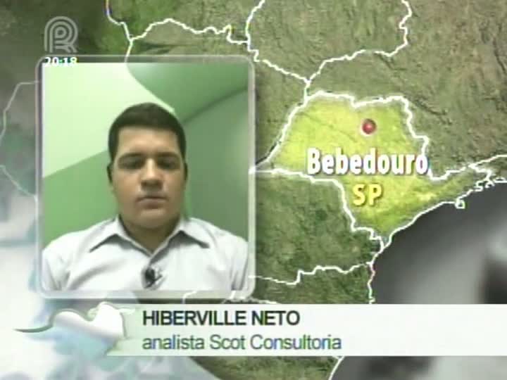 Analista da Scot Consultoria fala sobre o mercado de boi gordo