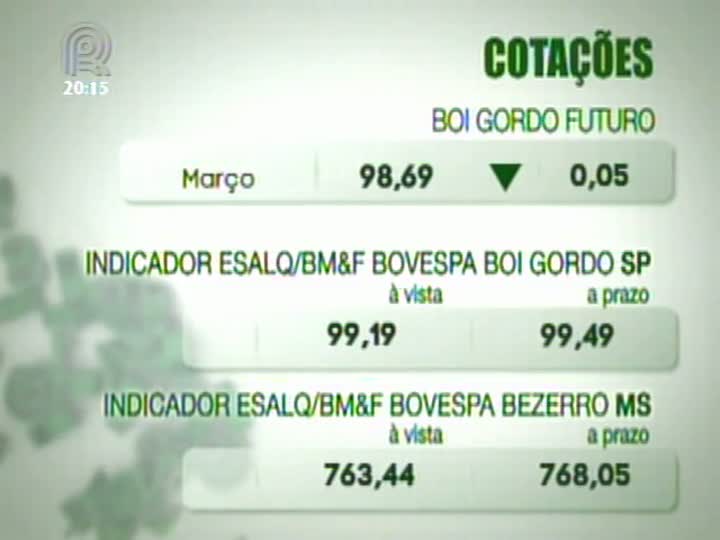 Analista da Scot Consultoria fala sobre o mercado de boi gordo