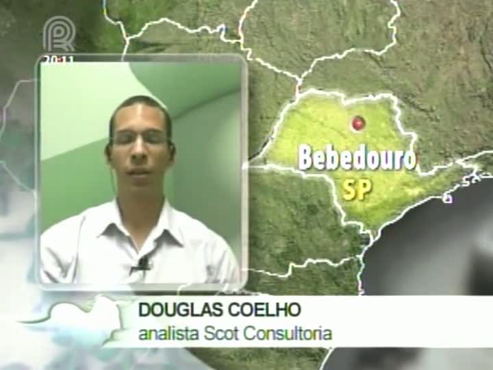 Analista da Scot Consultoria fala sobre colheita de soja no Paraná