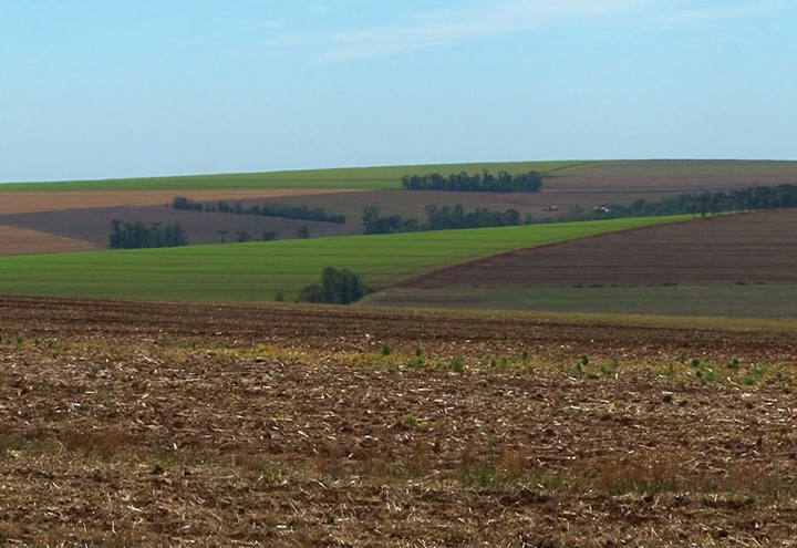 Crédito rural precisa de menos burocracia para o produtor investir mais