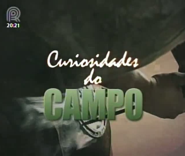 Curiosidades do Campo: Descubra como é feita a aplicação da ferradura no casco do cavalo