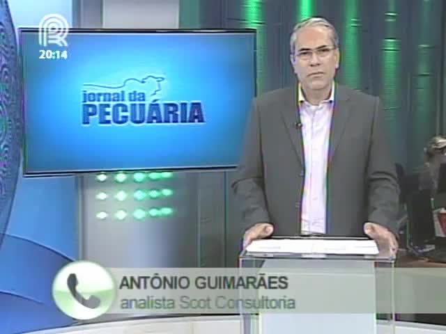 Analista da Scot Consultoria fala sobre o mercado de boi gordo