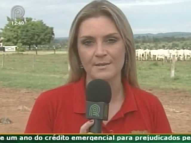 Pecuaristas ganham bonificação em Programa para melhor qualidade de carne
