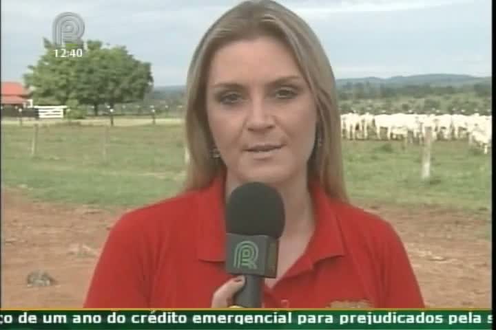 Pecuaristas ganham bonificação em Programa para melhor qualidade de carne