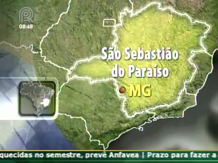 Publicar estoques de café é a saída para acabar com especulação, aponta superintendente da Cooparaíso