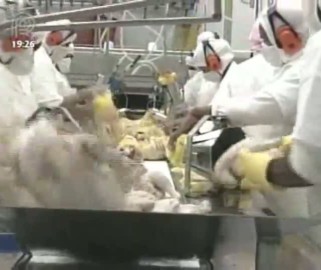 Ubabef avalia perda de competitividade das exportações de carne de frango