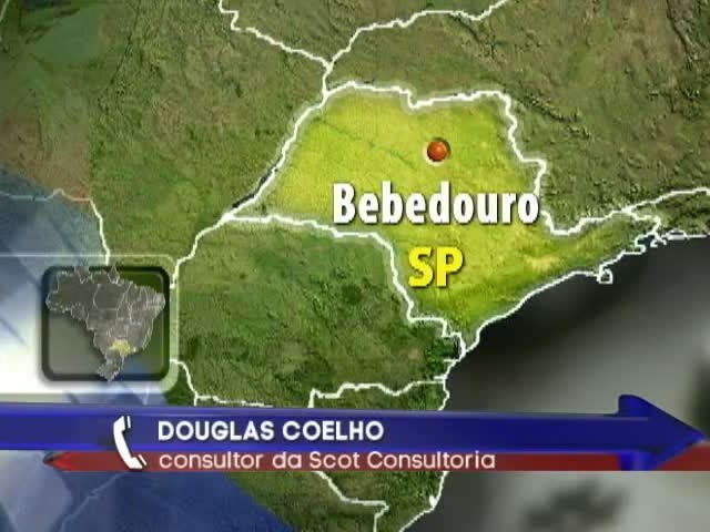 Consultor da Scot Consultoria fala sobre o mercado de suínos