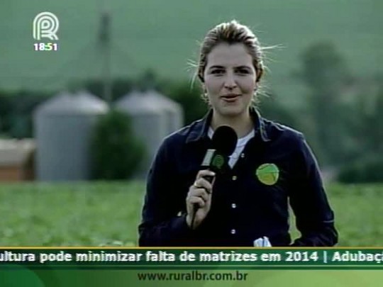 Equipe do Soja Brasil visita lavoura de soja em Farol (PR)