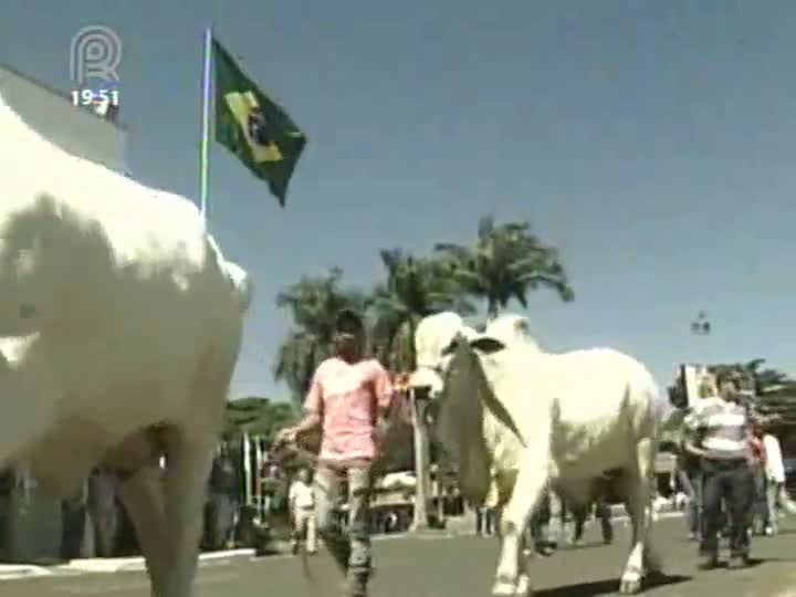 Expozebu atrai visitantes e investidores de 25 países, interessados na genética zebuína brasileira