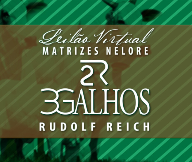Leilão Virtual 3 Galhos