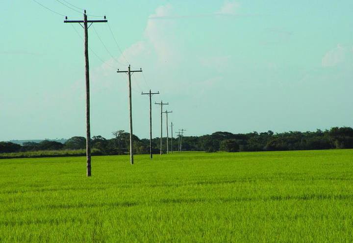 Fonte: Canal Rural