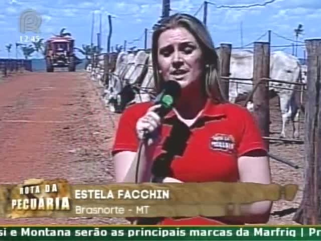 Rota da Pecuária: Fazenda Malanda é mais um bom exemplo de integração agricultura-pecuária