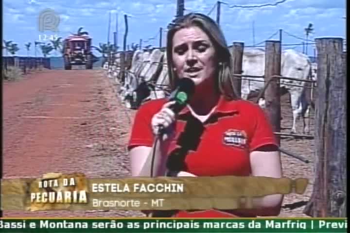 Rota da Pecuária: Fazenda Malanda é mais um bom exemplo de integração agricultura-pecuária