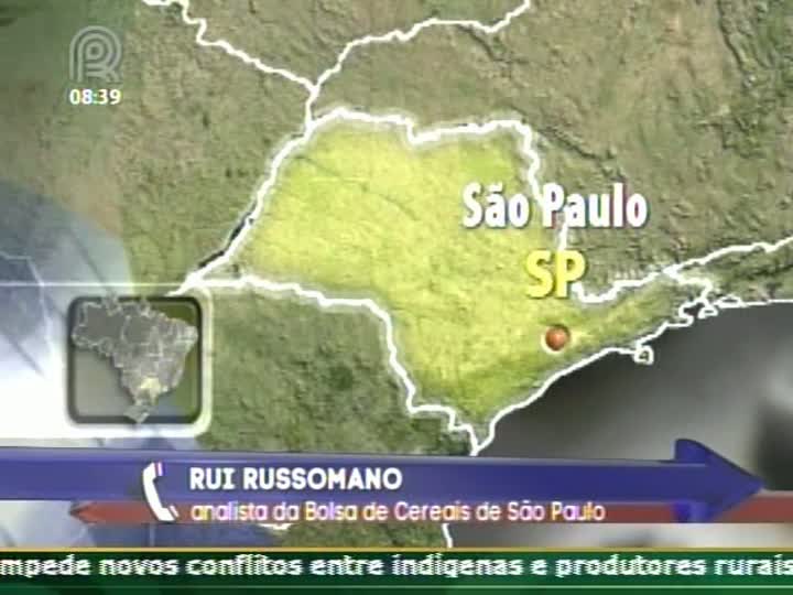 Analista da Bolsa de Cereais de São Paulo fala sobre mercado de feijão