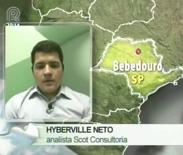 Analista da Scot Consultoria fala sobre as cotações do boi gordo