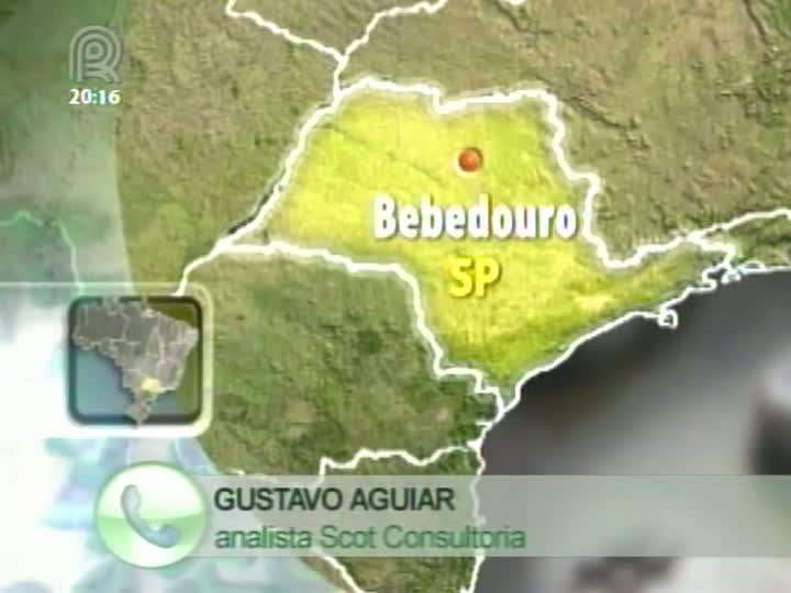 Analista da Scot Consultoria fala sobre o mercado de carne