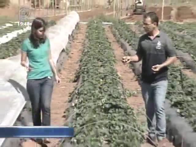 Profissionais do meio urbano trocam a vida corrida pela tranquilidade do campo