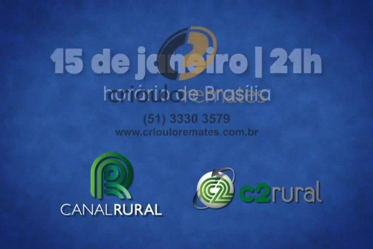Leilão Virtual Santa Ana e Convidados