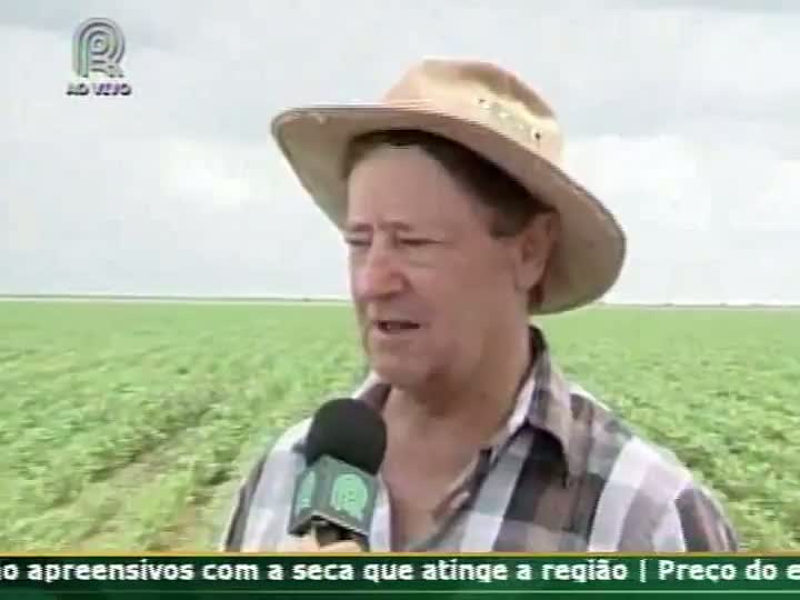 Produtores rurais falam sobre a chuva de granizo que atingiu as lavouras no oeste da Bahia