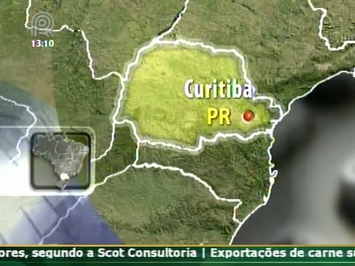 Analista de mercado fala sobre o mercado de grãos