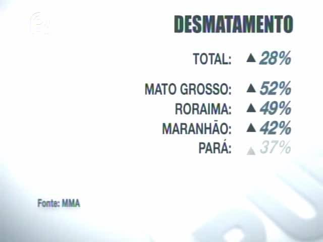 Desmatamento na Amazônia subiu 28% em um ano