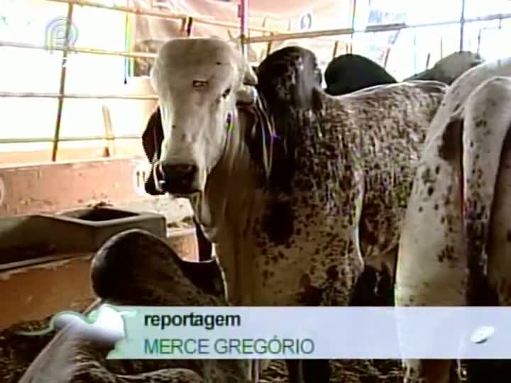 Segunda edição da FEMEC se encerra nesta sexta, dia 22