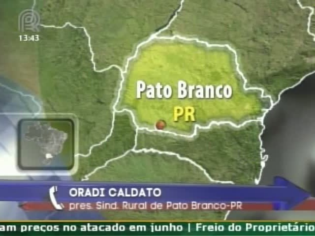 Chuvas causam prejuízos aos produtores rurais do Paraná
