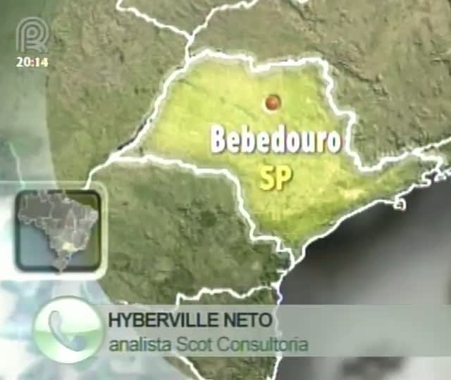 Analista da Scot Consultoria fala sobre o mercado de boi gordo