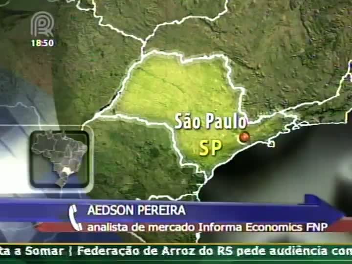 Analista de mercado da Informa Economics FNP fala sobre as cotações de soja