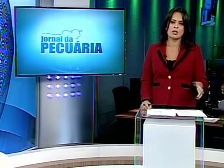 Analista fala sobre o mercado da carne em 2013