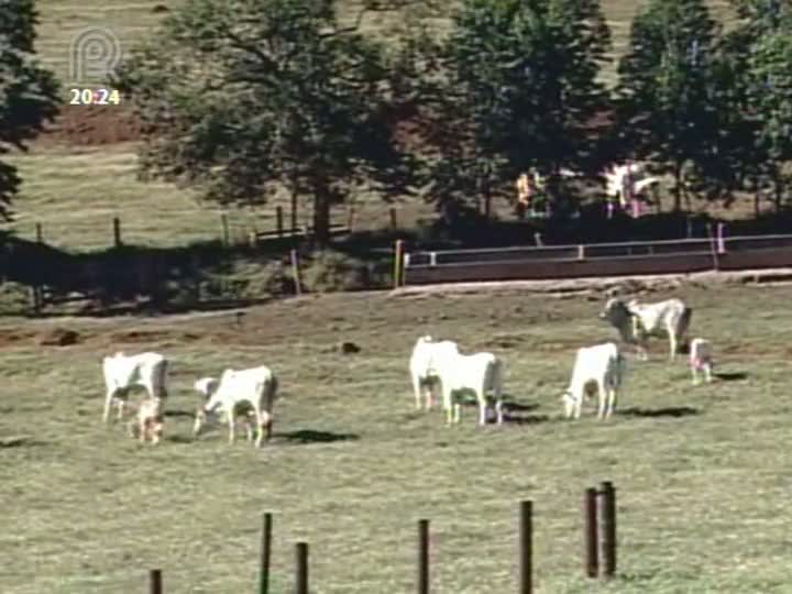 Família Vicintin promove shopping de prenhezes e animais em Minas Gerais