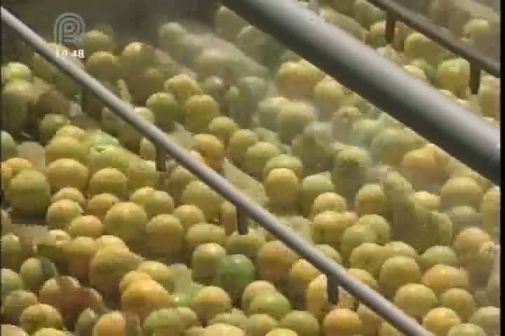 Cadeia brasileira de citrus quer aumentar consumo interno de sucos para reduzir dependência de outros mercados