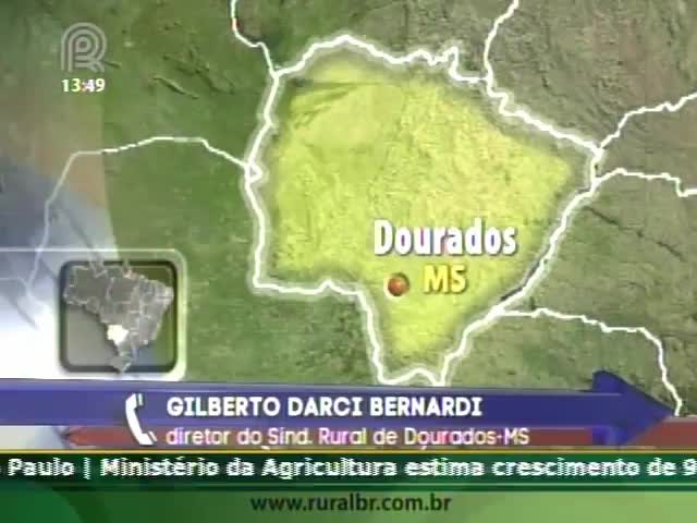 Diretor do Sindicato Rural de Dourados (MS) fala como está o andamento do plantio da soja em Mato Grosso do Sul